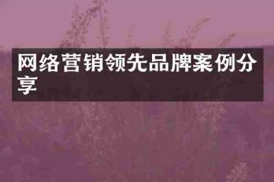 网络营销领先品牌案例分享