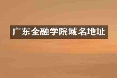 广东金融学院域名地址