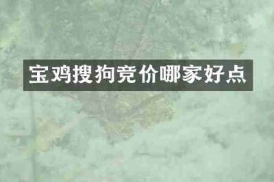 宝鸡搜狗竞价哪家好点
