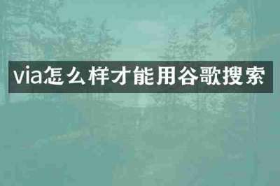 via怎么样才能用谷歌搜索