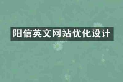 阳信英文网站优化设计