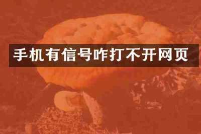 手机有信号咋打不开网页