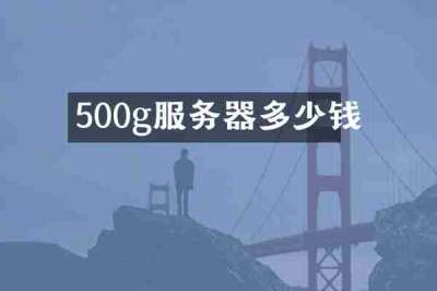 500g服务器多少钱