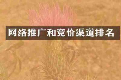 网络推广和竞价渠道排名