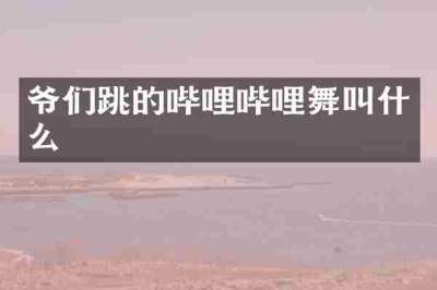 爷们跳的哔哩哔哩舞叫什么
