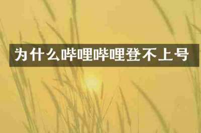为什么哔哩哔哩登不上号