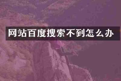 网站百度搜索不到怎么办