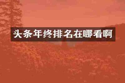头条年终排名在哪看啊