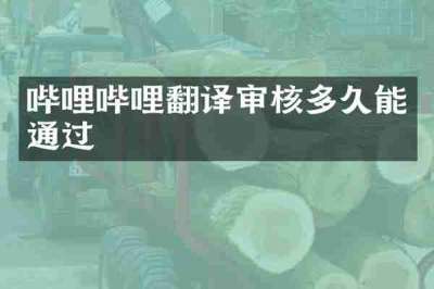 哔哩哔哩翻译审核多久能通过