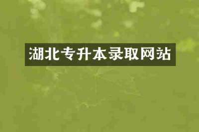 湖北专升本录取网站