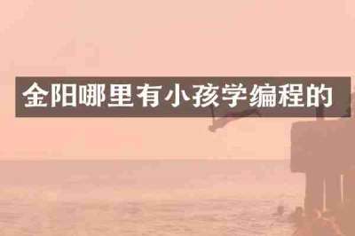 金阳哪里有小孩学编程的
