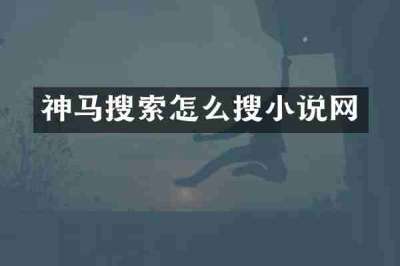 神马搜索怎么搜小说网