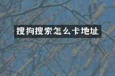 搜狗搜索怎么卡地址