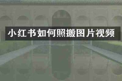 小红书如何照搬图片视频