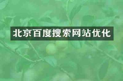北京百度搜索网站优化