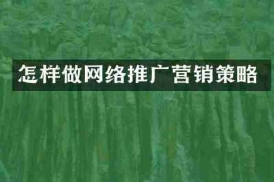 怎样做网络推广营销策略