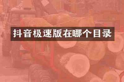 抖音极速版在哪个目录