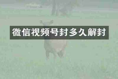 微信视频号封多久解封