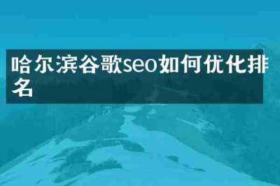 哈尔滨谷歌seo如何优化排名