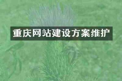 重庆网站建设方案维护