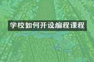 学校如何开设编程课程