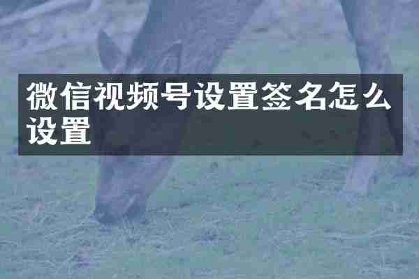 微信视频号设置签名怎么设置