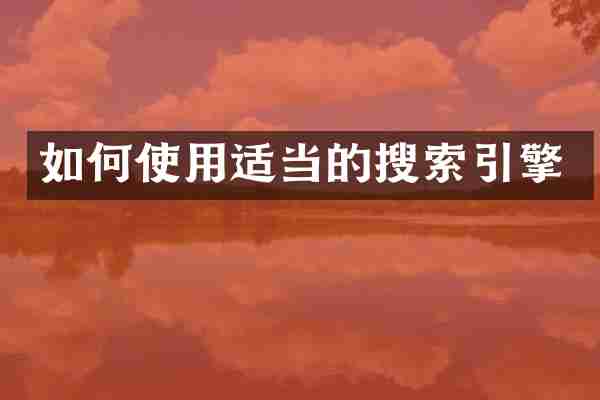 如何使用适当的搜索引擎