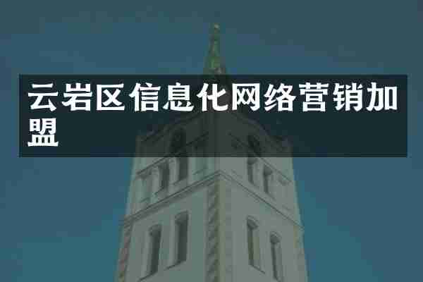 云岩区信息化网络营销加盟