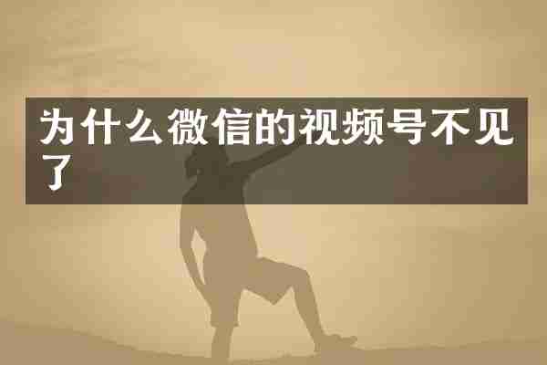 为什么微信的视频号不见了