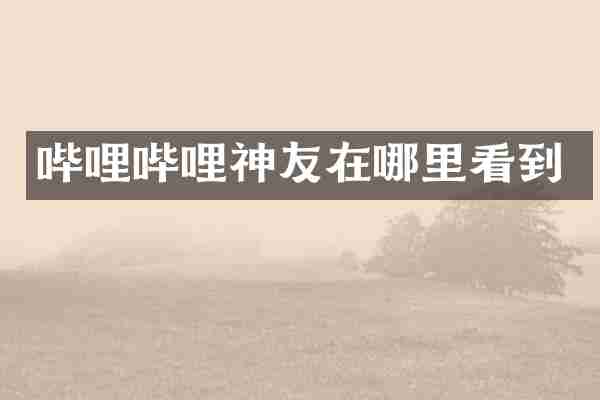 哔哩哔哩神友在哪里看到