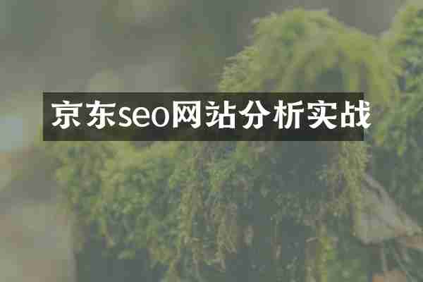 京东seo网站分析实战