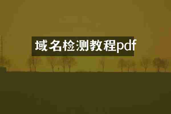 域名检测教程pdf