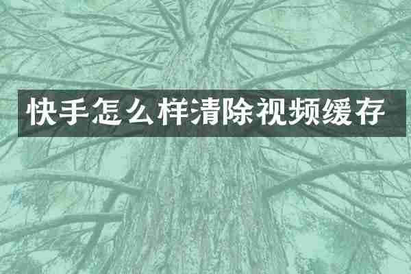 快手怎么样清除视频缓存