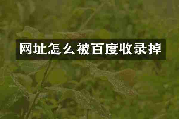 网址怎么被百度收录掉