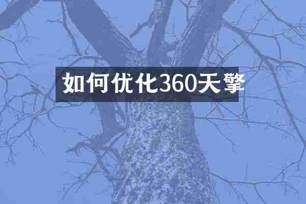 如何优化360天擎