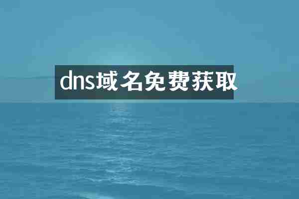 dns域名免费获取