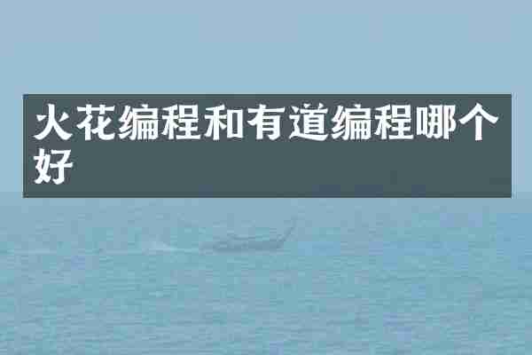 火花编程和有道编程哪个好