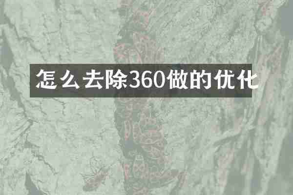 怎么去除360做的优化