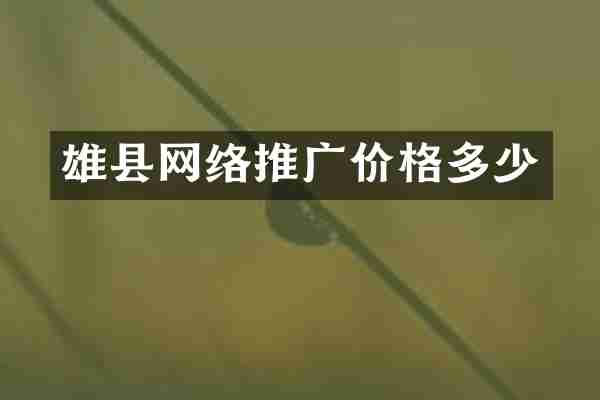 雄县网络推广价格多少