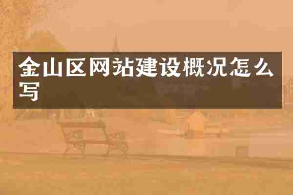金山区网站建设概况怎么写
