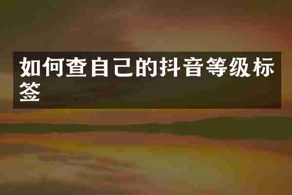 如何查自己的抖音等级标签