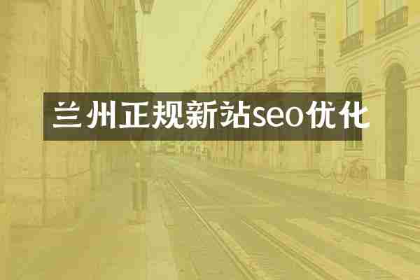 兰州正规新站seo优化