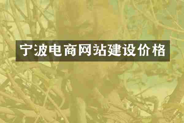 宁波电商网站建设价格