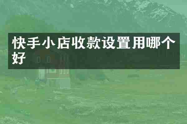 快手小店收款设置用哪个好