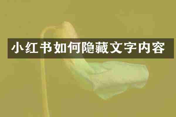小红书如何隐藏文字内容