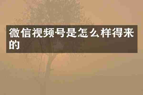微信视频号是怎么样得来的