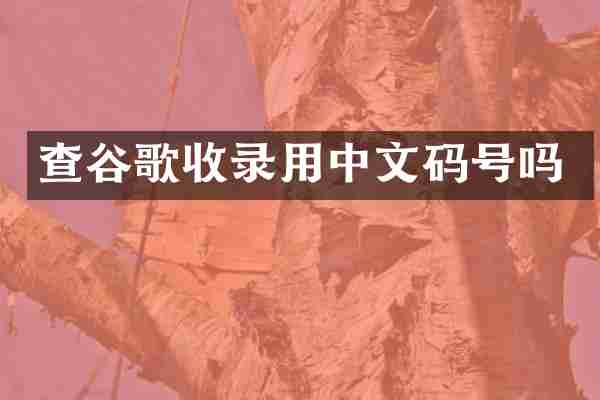 查谷歌收录用中文码号吗