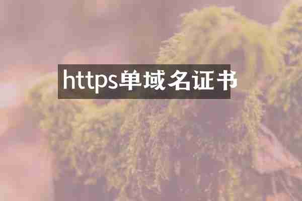 https单域名证书