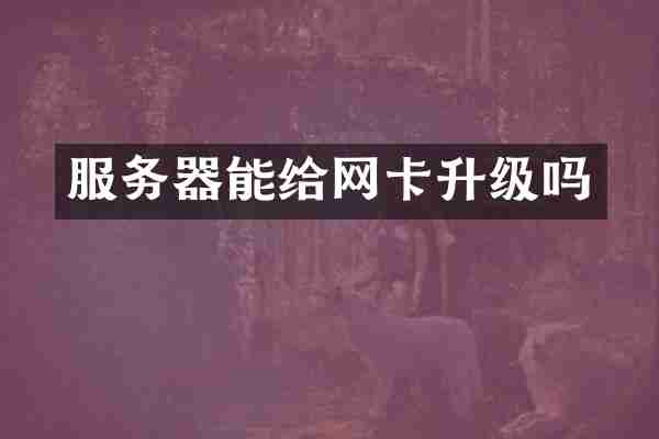 服务器能给网卡升级吗