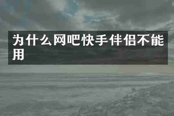 为什么网吧快手伴侣不能用
